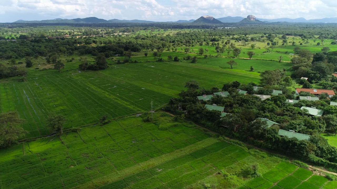 Camellia Resort And Spa Sigiriya Luaran gambar