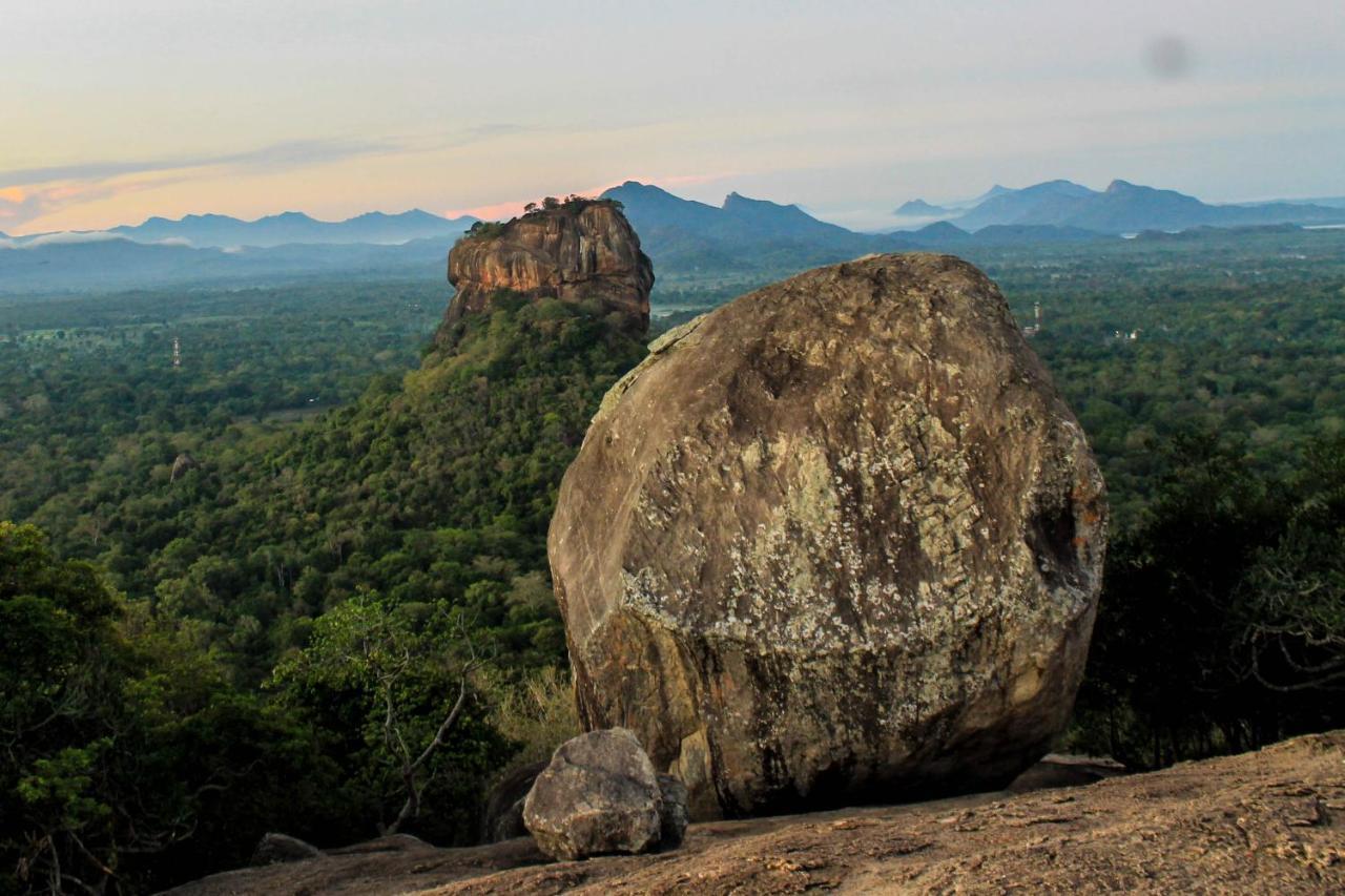 Camellia Resort And Spa Sigiriya Luaran gambar